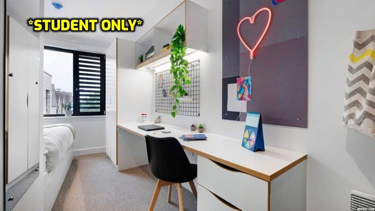 Student Only Zeni Ensuite Rooms, Колчестер Экстерьер фото